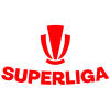 Liga 1 logo