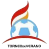 Torneos De Verano logo