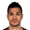 Hatem Ben Arfa