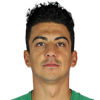 Soner Dikmen