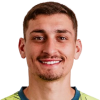 Djordje Petrovic