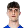Flavio Paoletti