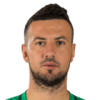 Danijel Subasic
