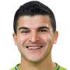 Tarik Elyounoussi