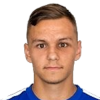 Dominik Gulas