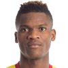 Didier Ndong