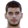 Vasilios Triantafyllakos