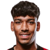 Balraj Landa
