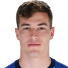 Luka Sucic