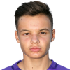 Denis Dizdarevic