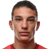 Dzenan Puce