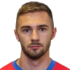 Damir Hrelja