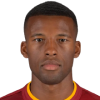 Georginio Wijnaldum