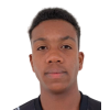 Cristian Ricardo de Jesus Fagundes
