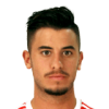 Raphael Guzzo