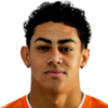 Vinicius Rodrigues Adelino dos Santos