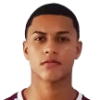 Joao Henrique Mendes da Silva