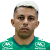 Felipe Marques