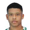 Vinicius Lopes da Silva