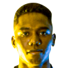 Brayan Smith Lemos Pino