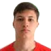 Dominik Simcic