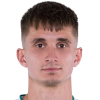 Dominik Plestil