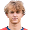 Dominik Skopal