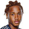 Bi Bryan Zamble