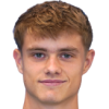 Dominik Foldi