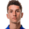 Tarik Ibrahimagic