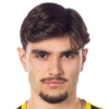 Nikola Mitrovic