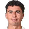 Yanis Lelin
