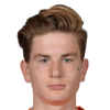 Tommie Van de Looi