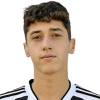 Diego Ripani