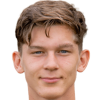 Yoel van den Ban