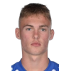 Arjen van der Heide