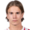 Niklas Brondsted Vesterlund Nielsen