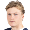 Halldor Stenevik