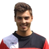Luis Fernandez