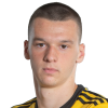 Novak Micovic
