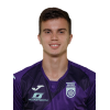 Artem Golubev