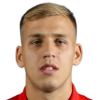 Vladimir Lucic