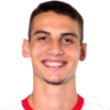 Danilo Teodorovic