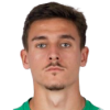 Dominik Vesely