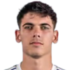 Alex Valle