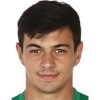 Roman Volokhatyi