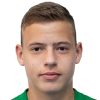 Vladyslav Krapyvtsov