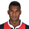 David N'Gog