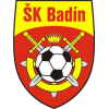 Badin