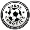Sokol Lubotice
